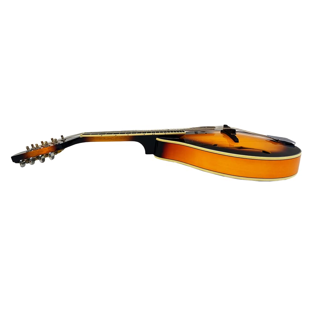 8 String A Style Acoustic Mandolin Kit with Carrying Case E70023