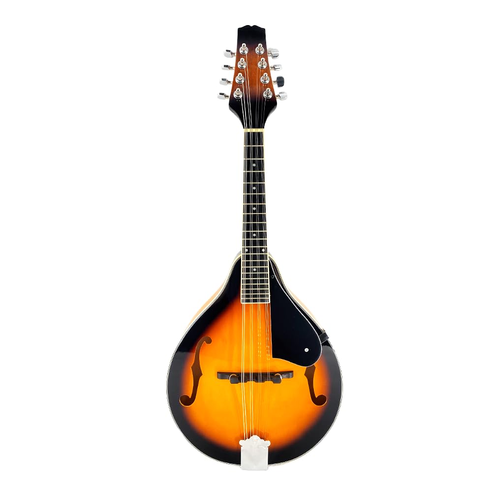 8 String A Style Acoustic Mandolin Kit with Carrying Case E70023