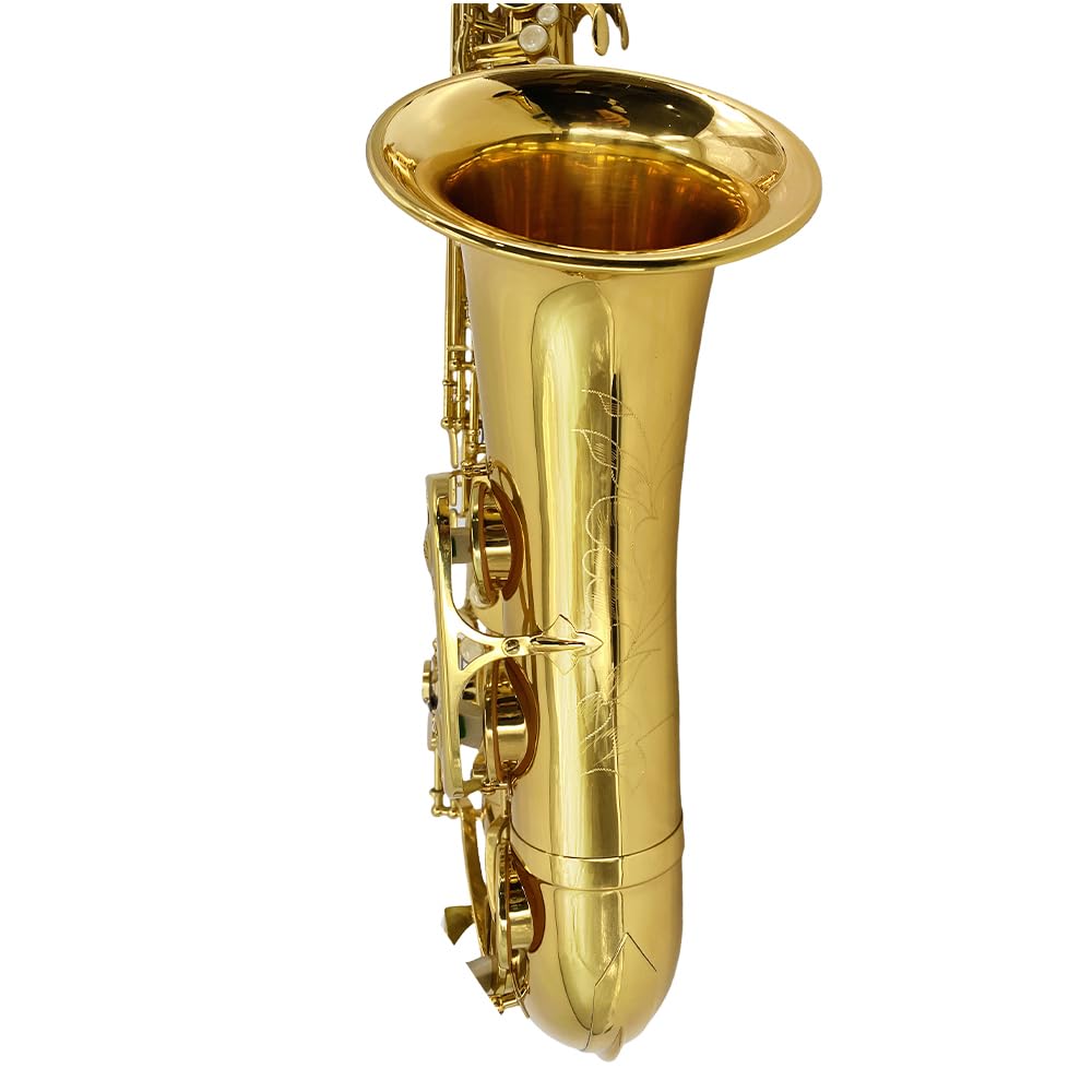 Bb Tenor Saxophone Beginner Kit with Hard Case U39443