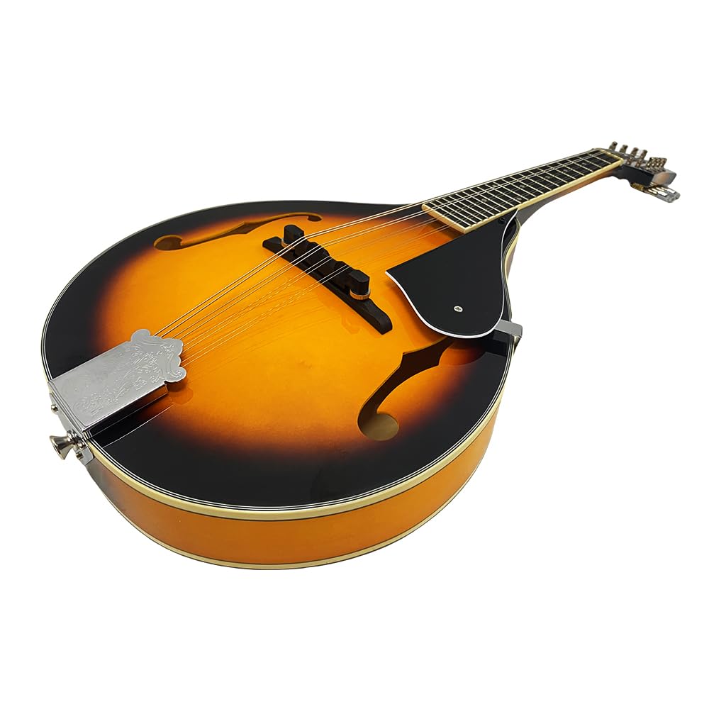 8 String A Style Acoustic Mandolin Kit with Carrying Case E70023