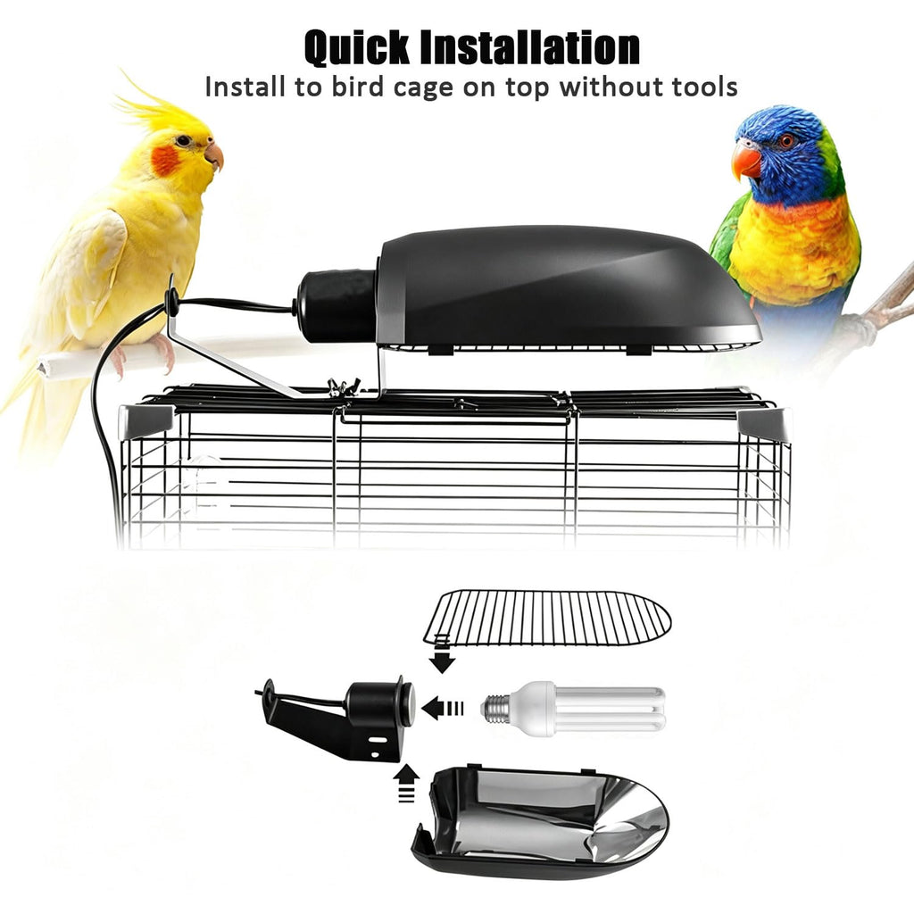 Bird Cage Light Fixture Combo Kit with Bulb B786