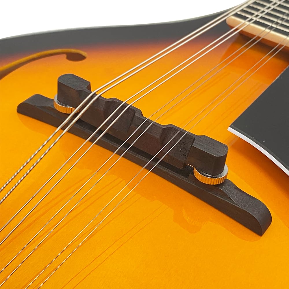 8 String A Style Acoustic Mandolin Kit with Carrying Case E70023