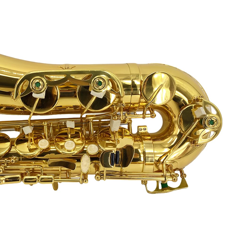 Bb Tenor Saxophone Beginner Kit with Hard Case U39443