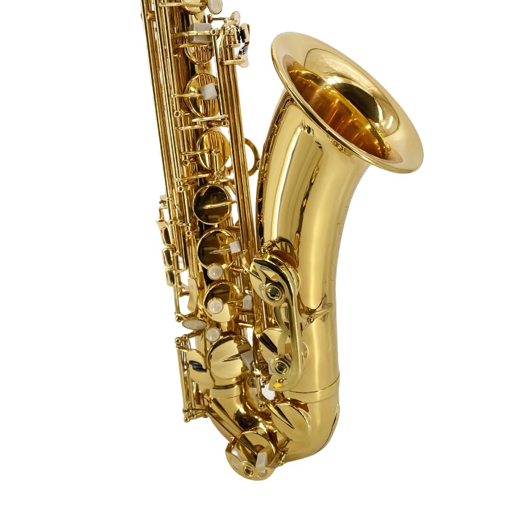 Bb Tenor Saxophone Beginner Kit with Hard Case U39443