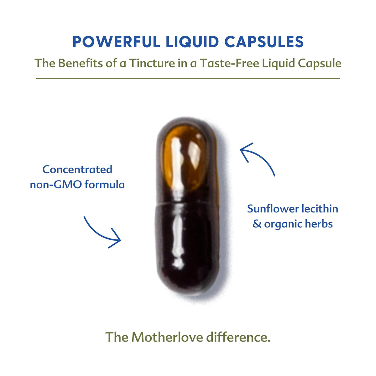 Moringa 120 Capsule M551