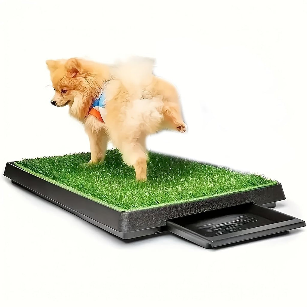 25" X 20" Dog Grass Pad with Tray H479903