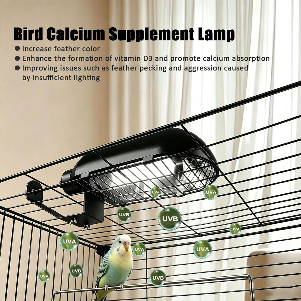 Bird Cage Light Fixture Combo Kit with Bulb B786