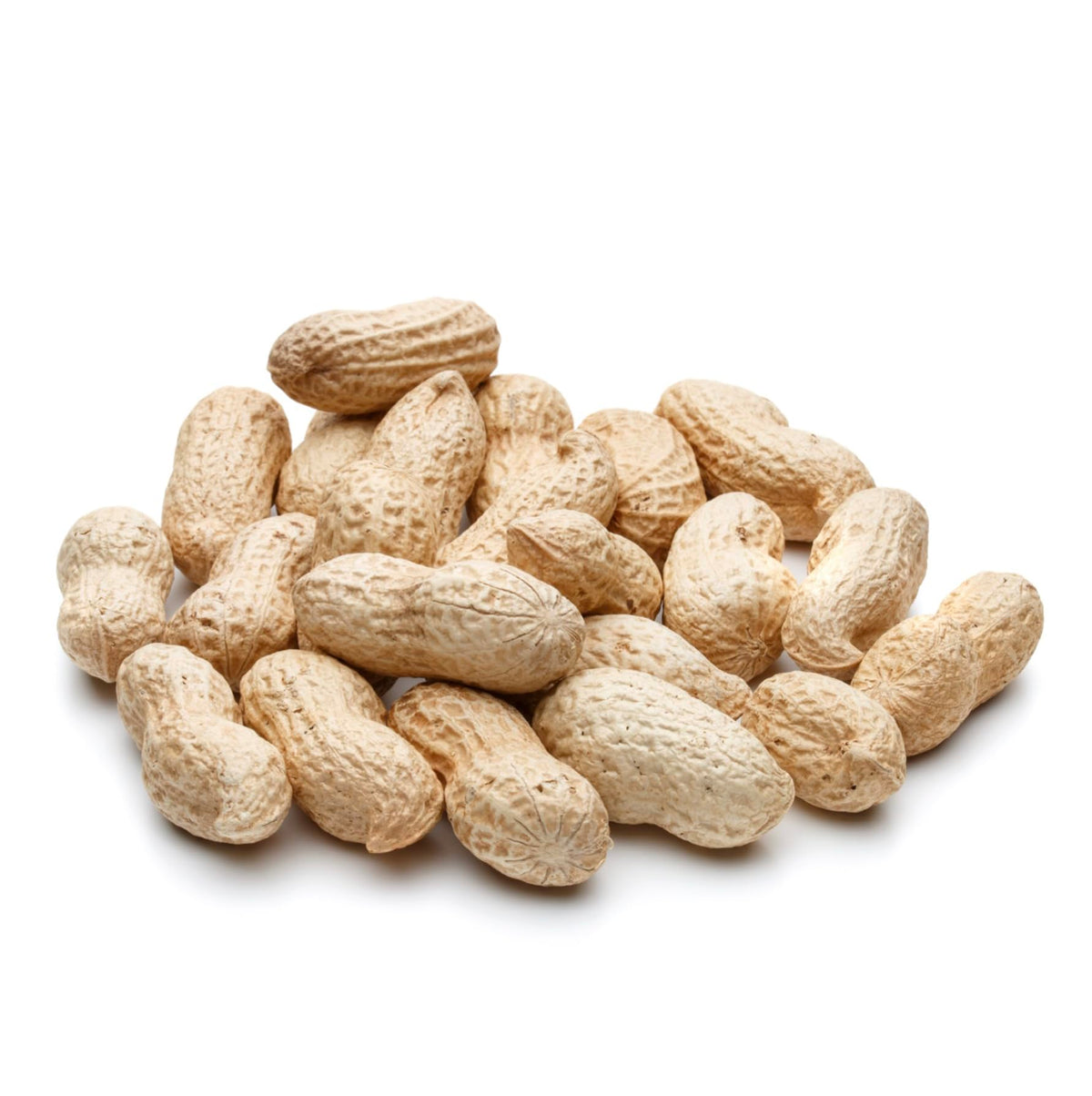 Raw Peanuts 50 LBS B7828