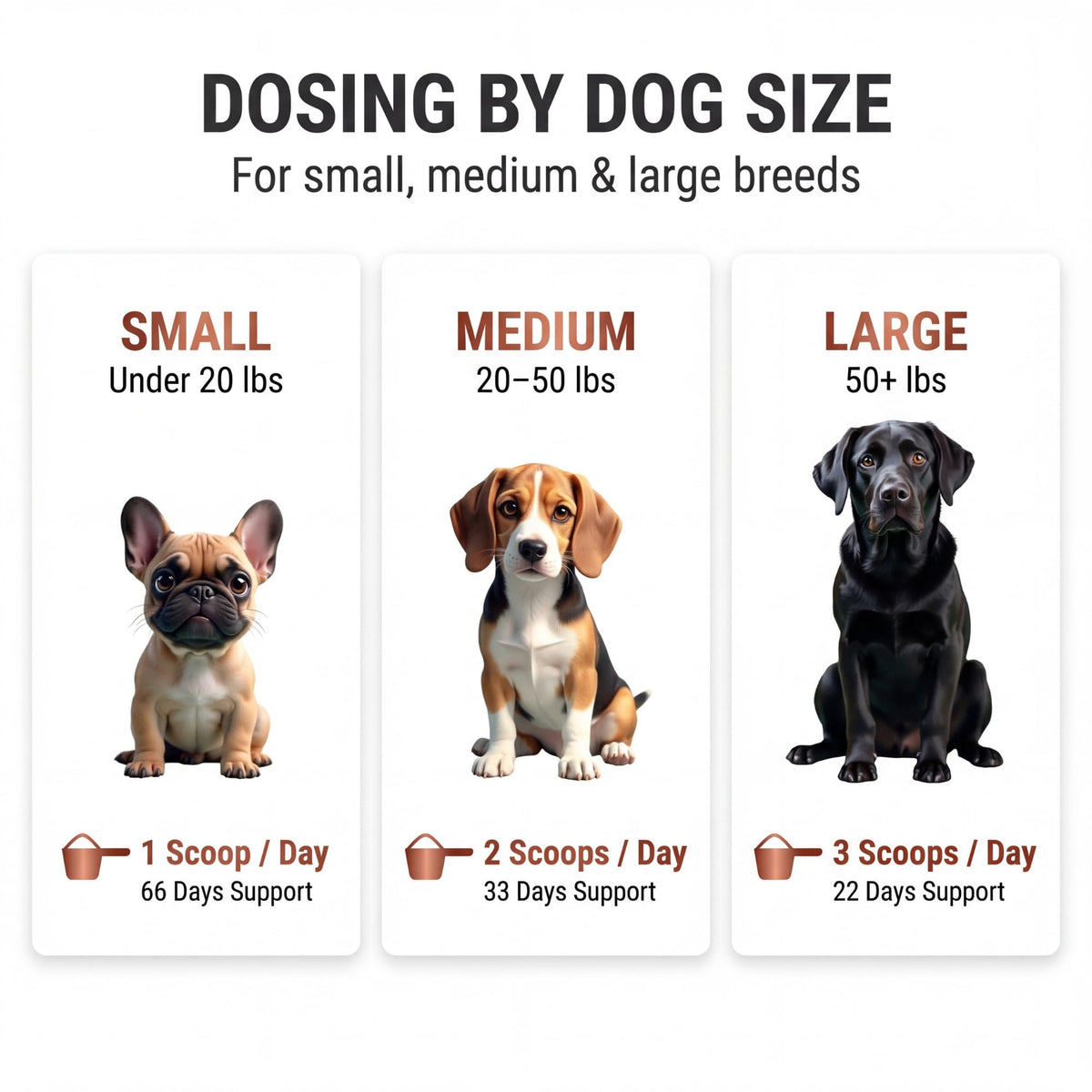 Dog Multivitamin Powder N79208