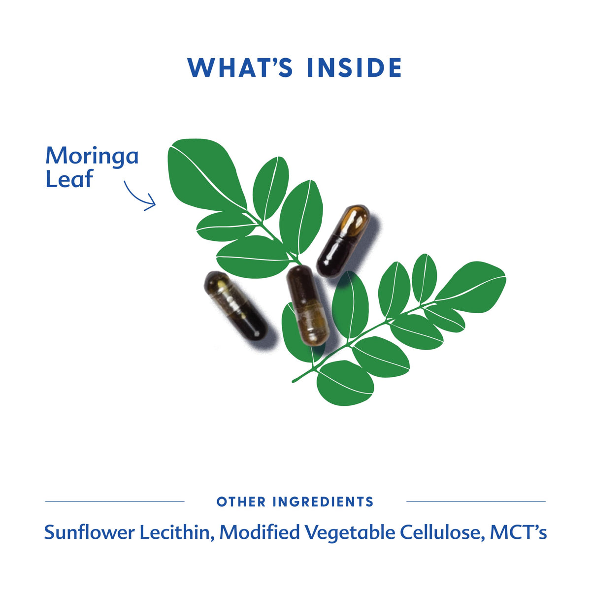 Moringa 120 Capsule M551