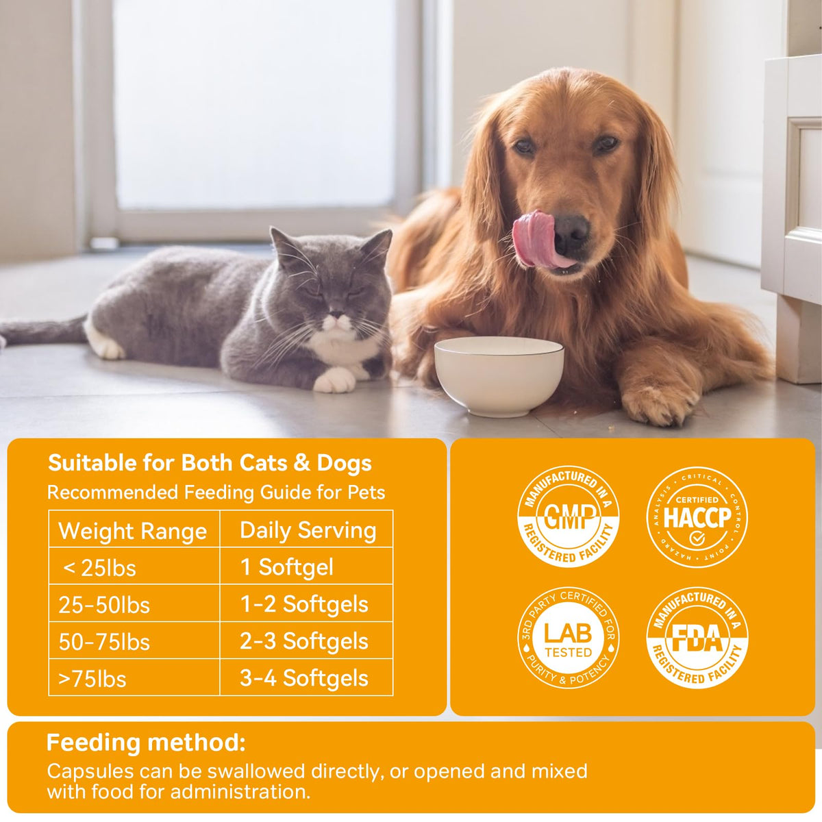 Probiotics for Dogs and Cats A56604