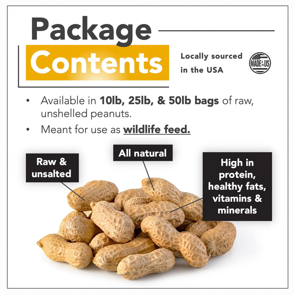 Raw Peanuts 50 LBS B7828