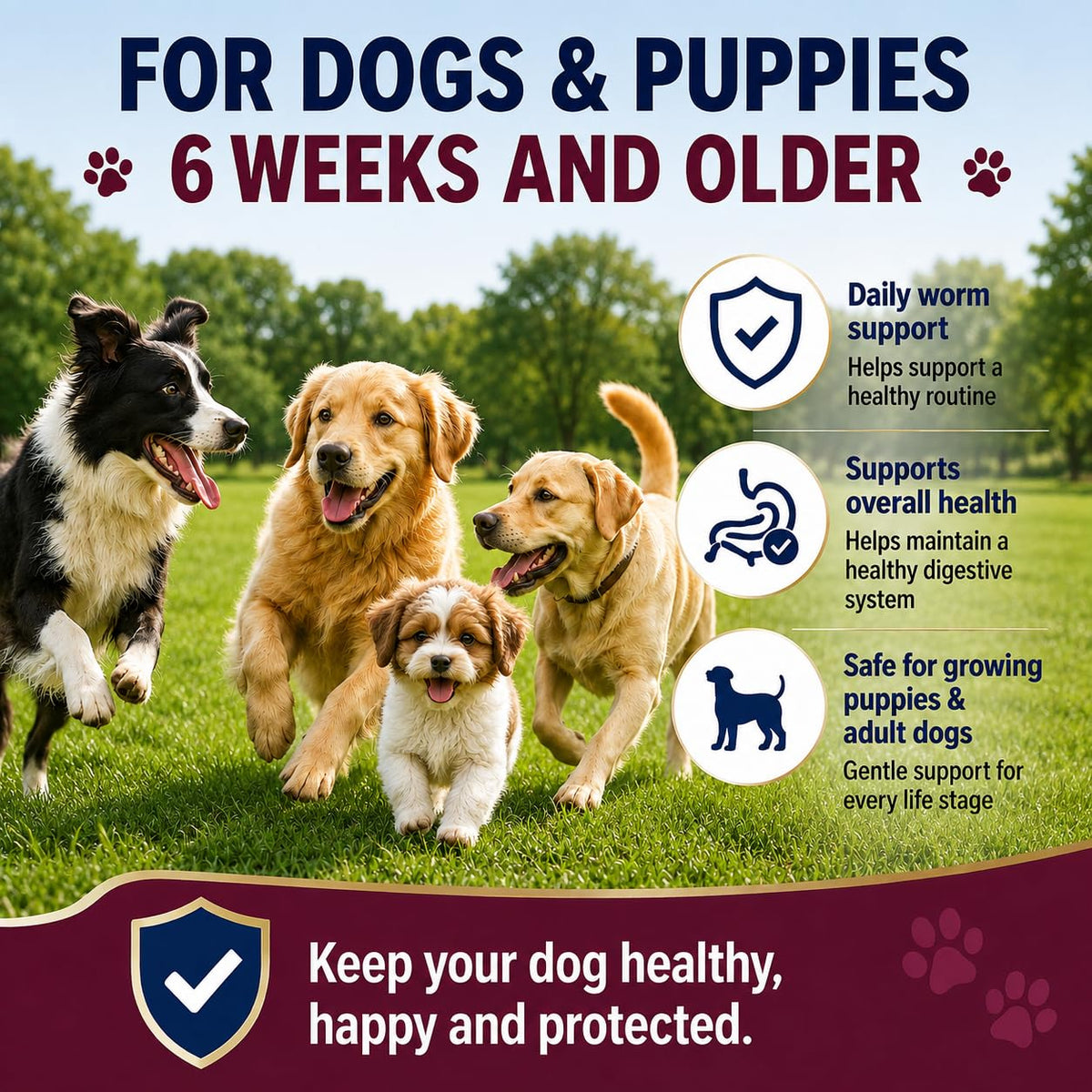 Dewormer for Dogs, 50 Tablets J549831