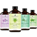 Lemongrass Peppermint Eucalyptus Lavender Essential Oil Set 4 Fl. Oz D271