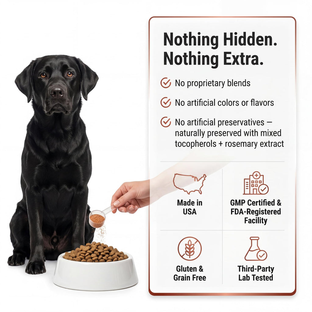 Dog Multivitamin Powder N79208