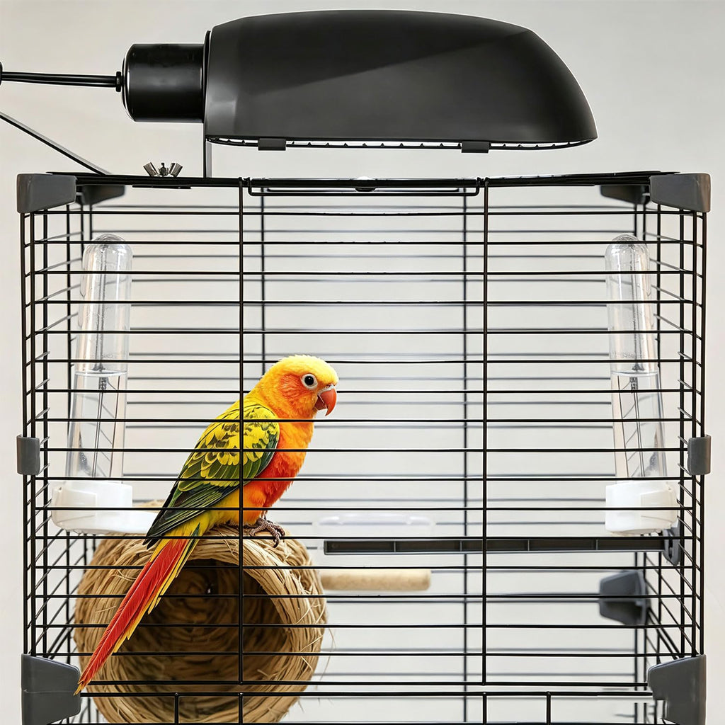 Bird Cage Light Fixture Combo Kit with Bulb B786