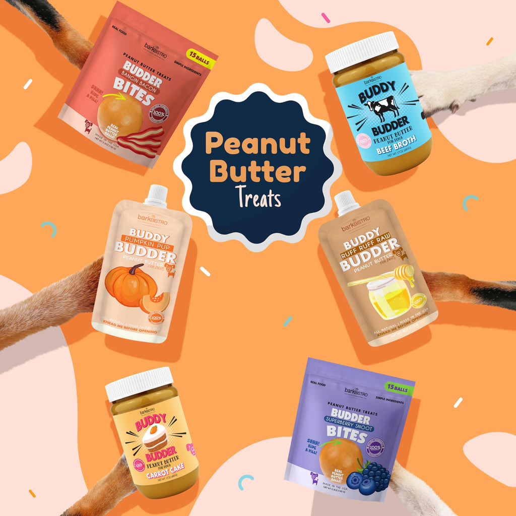 Peanut Butter Dog Treat H164