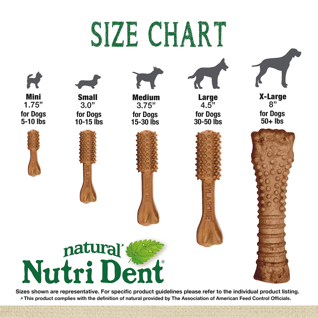 Filet Mignon Flavor Dog Dental Treats 40 Count F5980