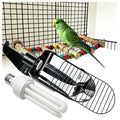 Bird Cage Light Fixture Combo Kit with Bulb B786