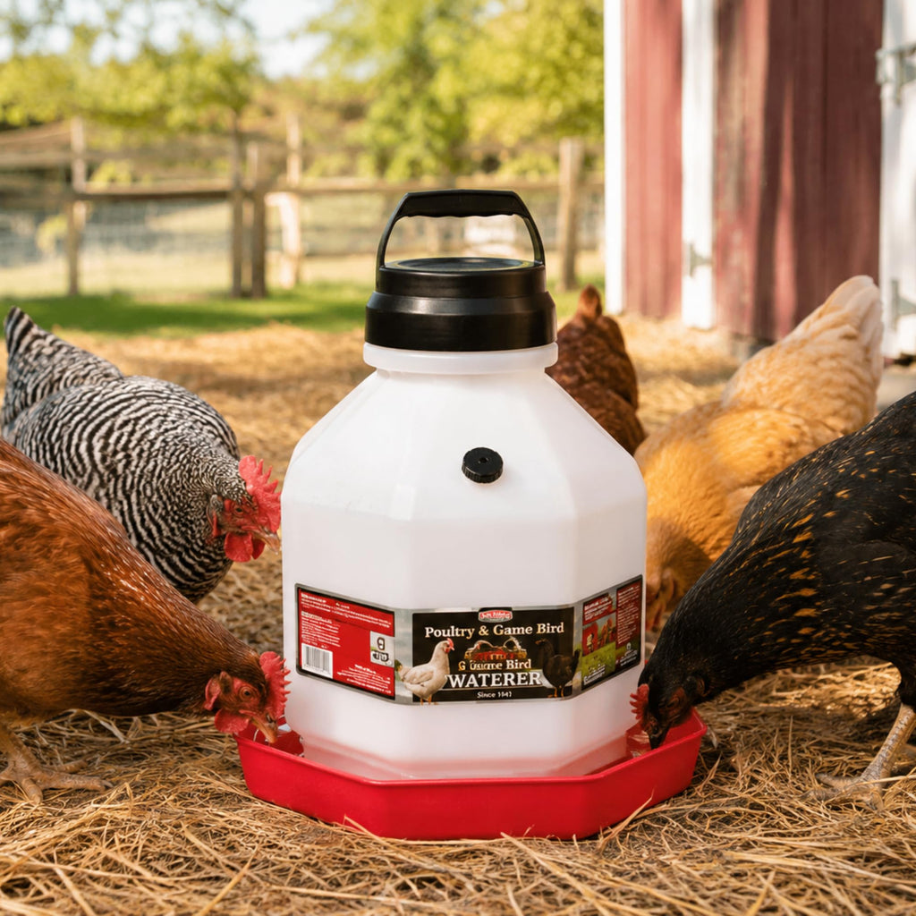 5 Gallon Translucent Plastic Poultry Waterer S999