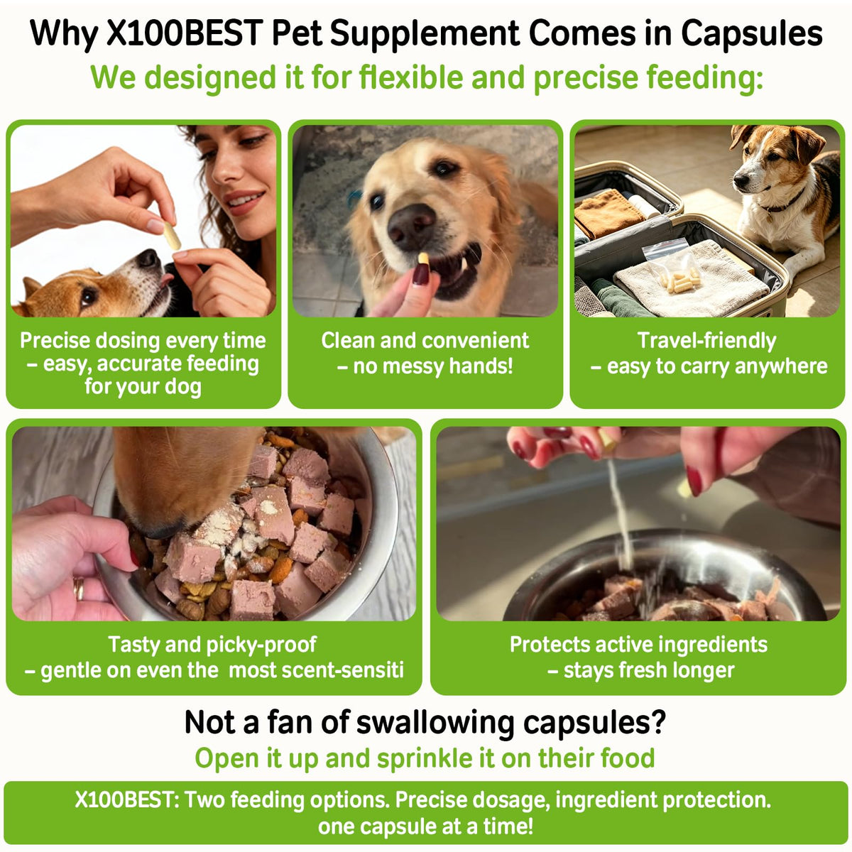 Probiotics for Dogs and Cats A56604