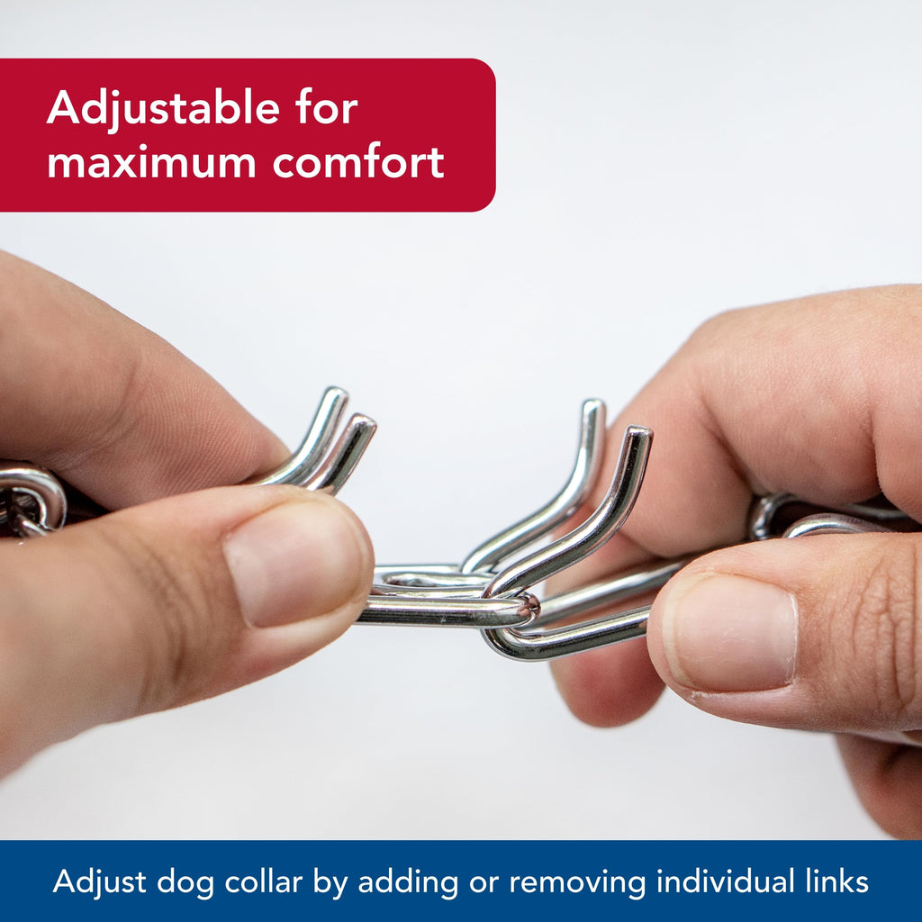 Steel Chrome Plated 3.0 mm Dog Prong Collar C824474