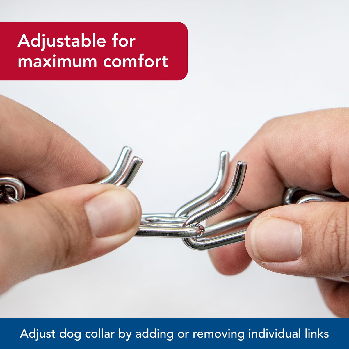 Steel Chrome Plated 3.0 mm Dog Prong Collar C824474