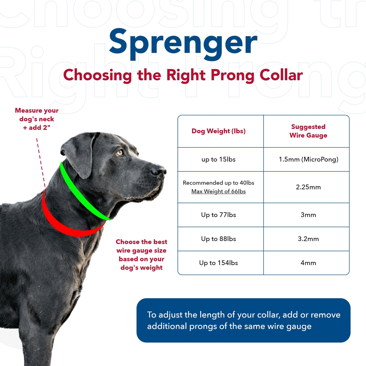 Steel Chrome Plated 3.0 mm Dog Prong Collar C824474
