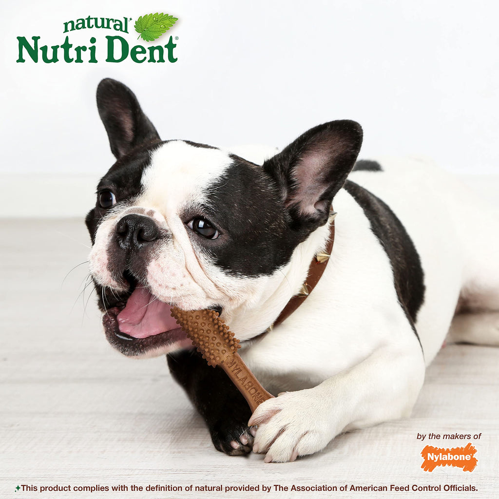 Filet Mignon Flavor Dog Dental Treats 40 Count F5980