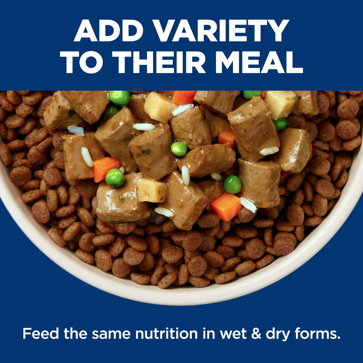 Wet Dog Food K9554