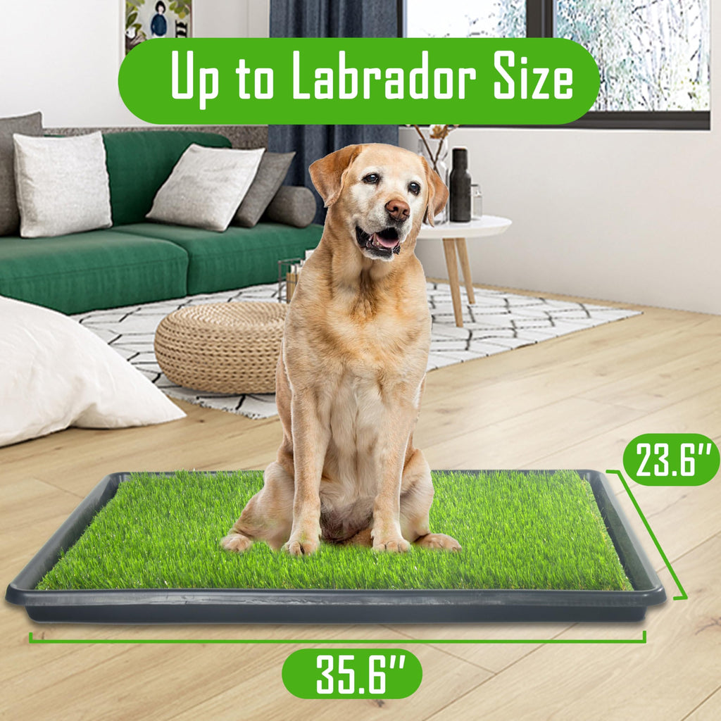 Reusable Artificial Grass Dog Loo System with Tray and Pee Pads, 35x23in C982