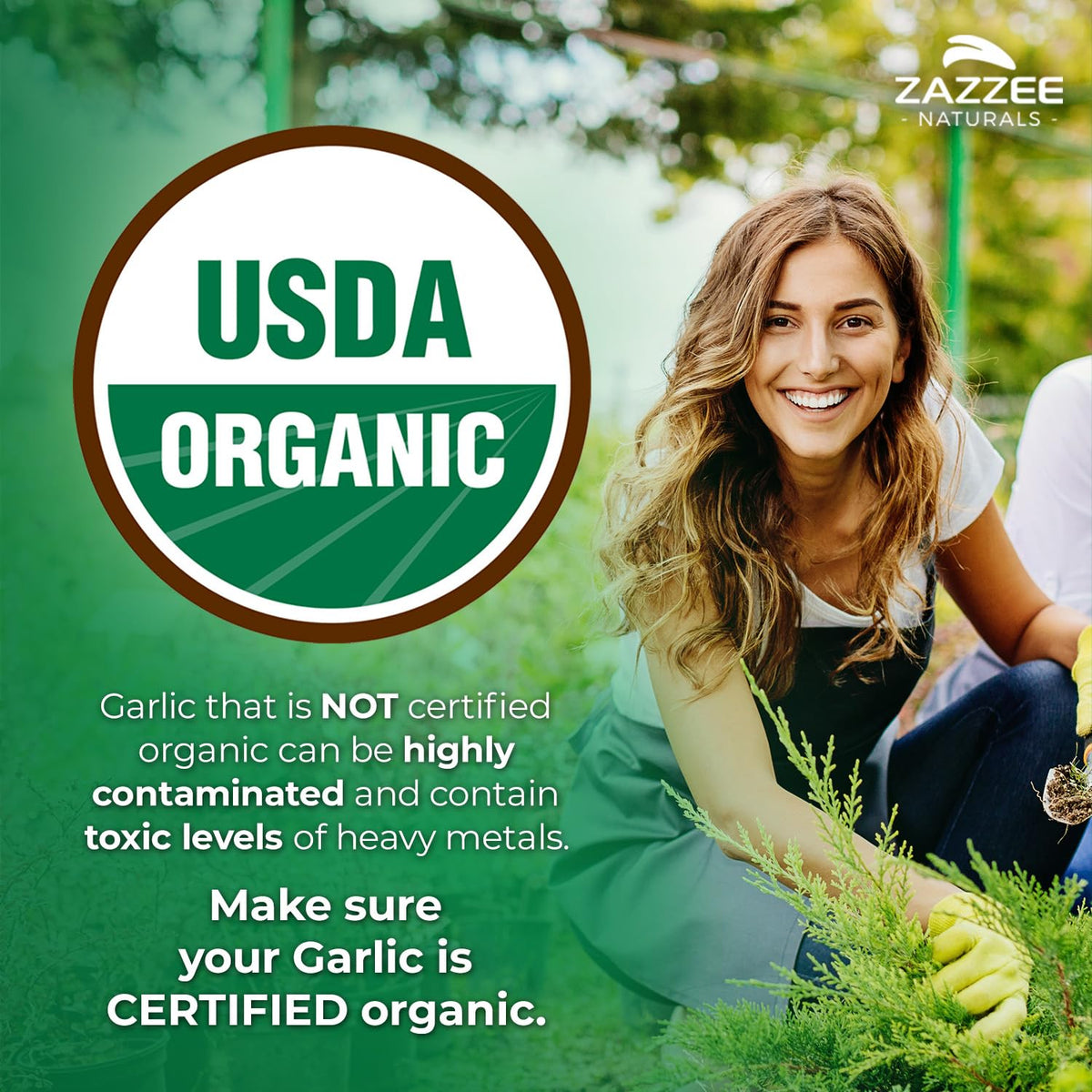 USDA Organic Aged Garlic 20:1 Extract R68700