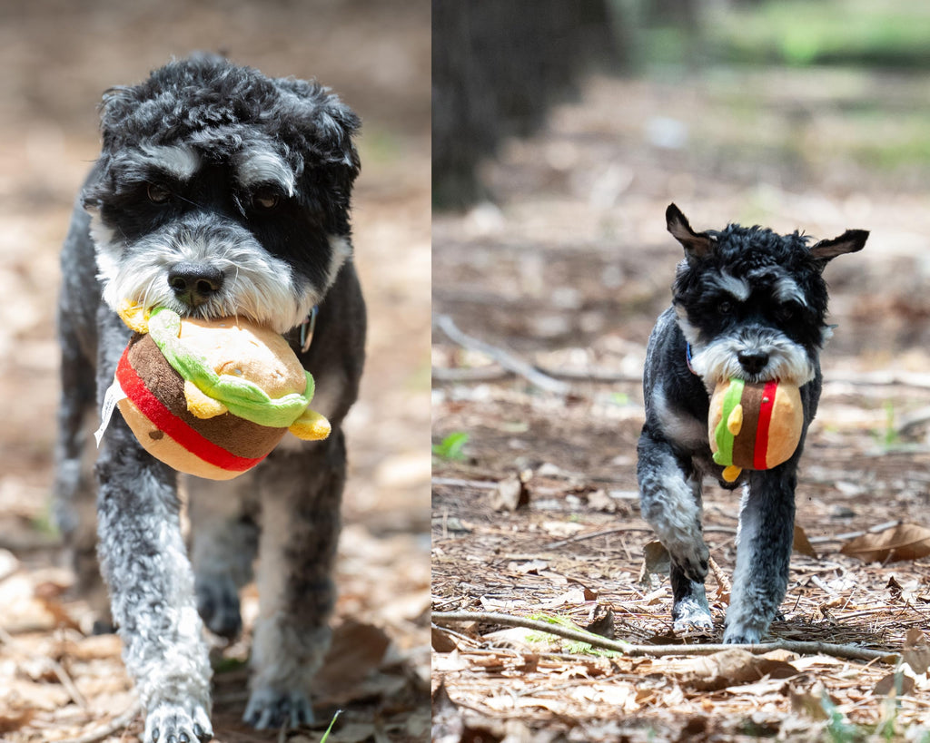 Plush Food Shaped Dog Toy with Squeaker I604