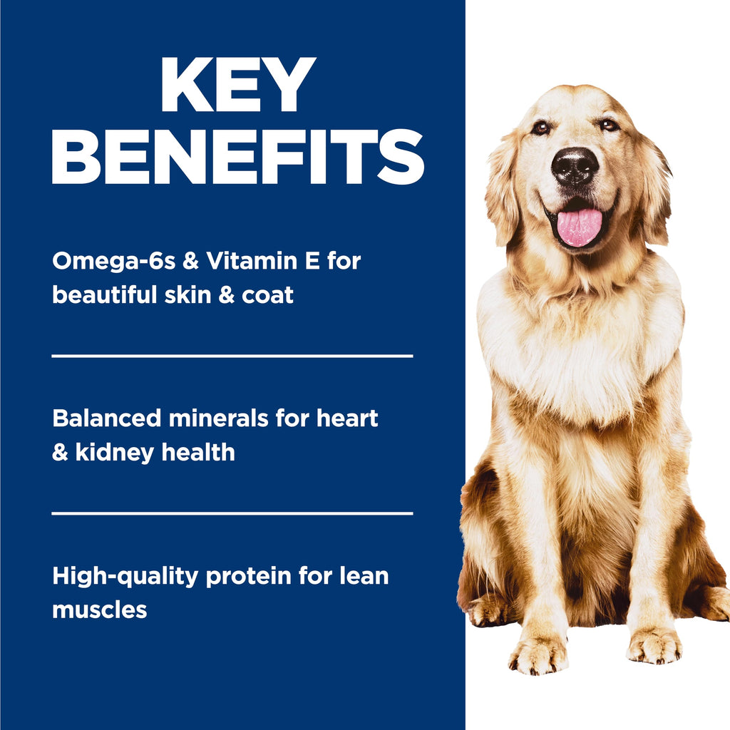 Wet Dog Food K9554