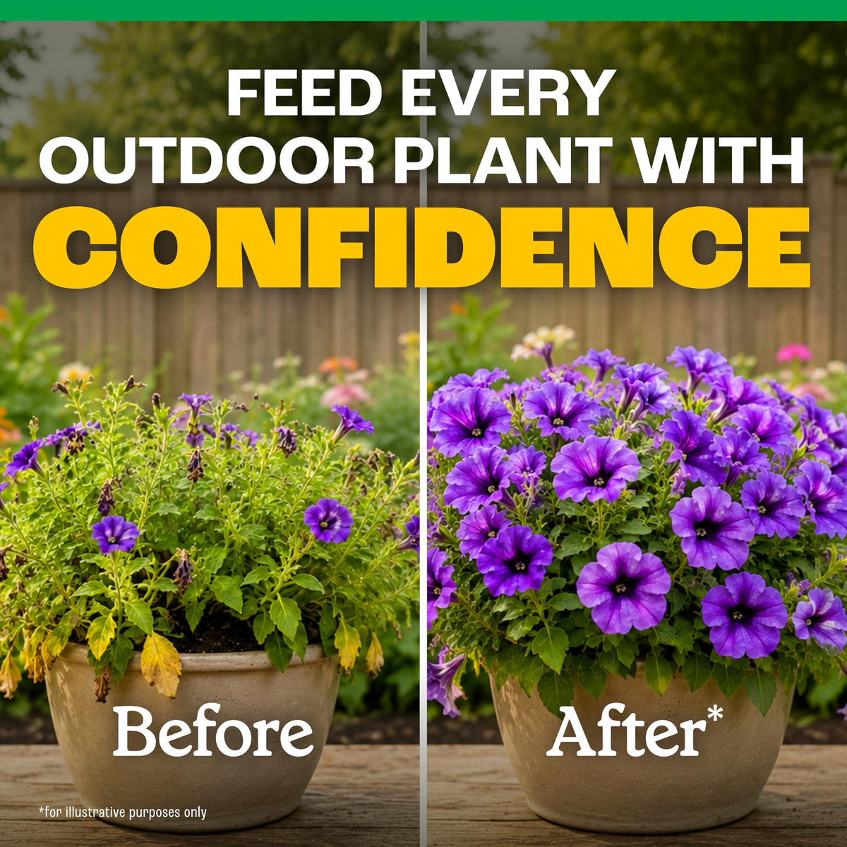 All-Purpose Plant Food 2-3-2, 32 Oz X43892