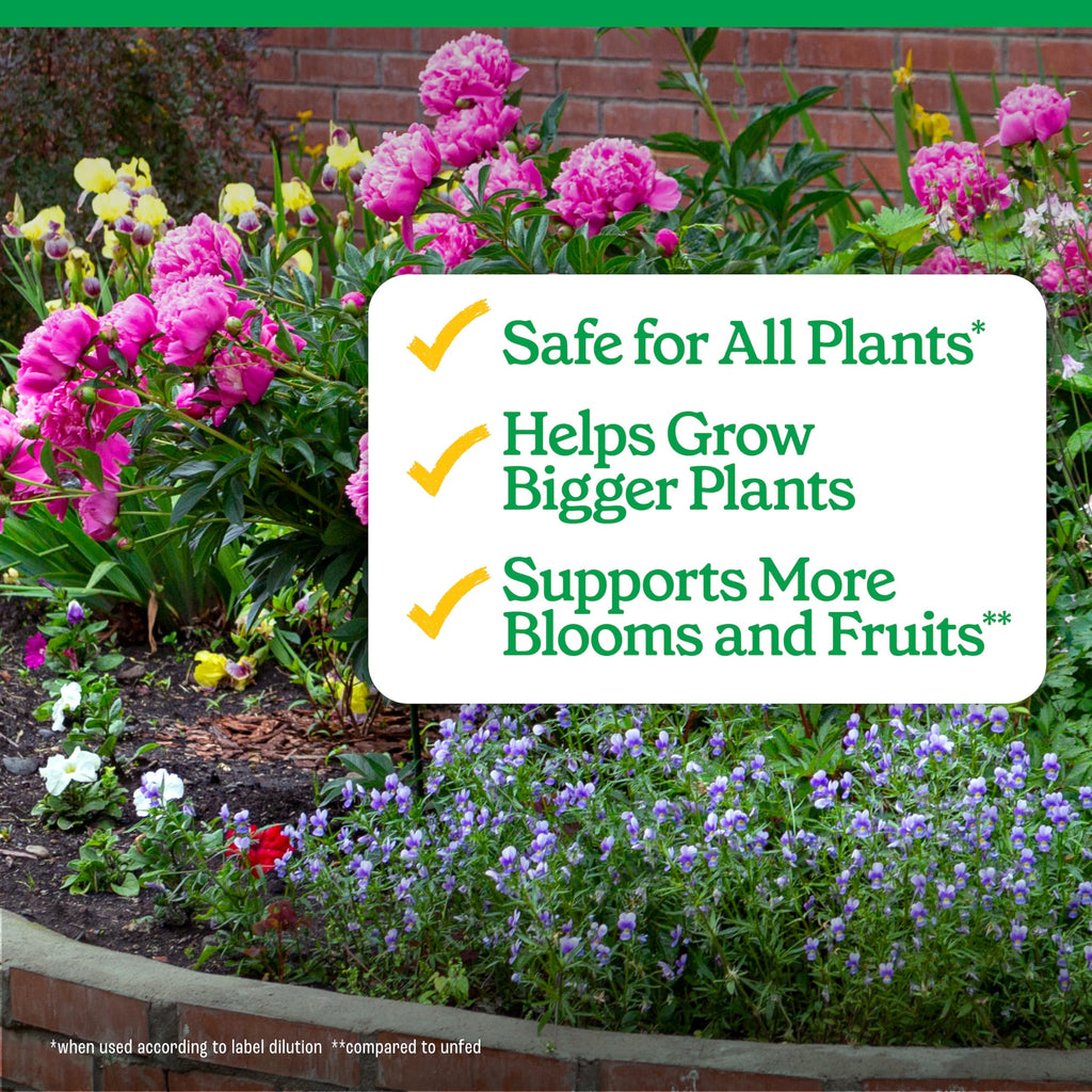 All-Purpose Plant Food 2-3-2, 32 Oz X43892