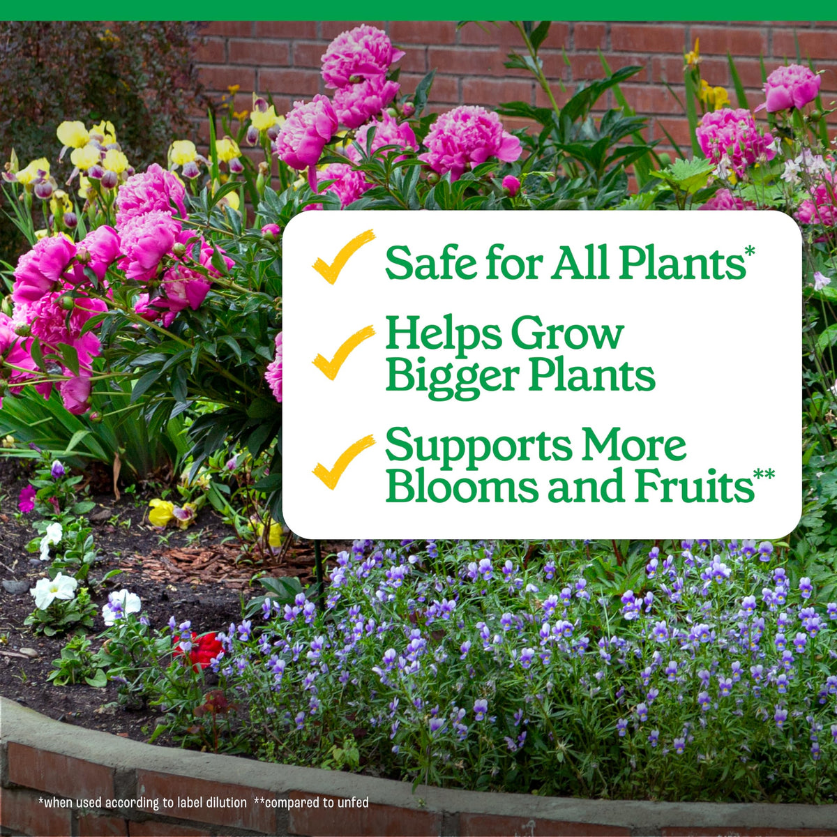 All-Purpose Plant Food 2-3-2, 32 Oz X43892