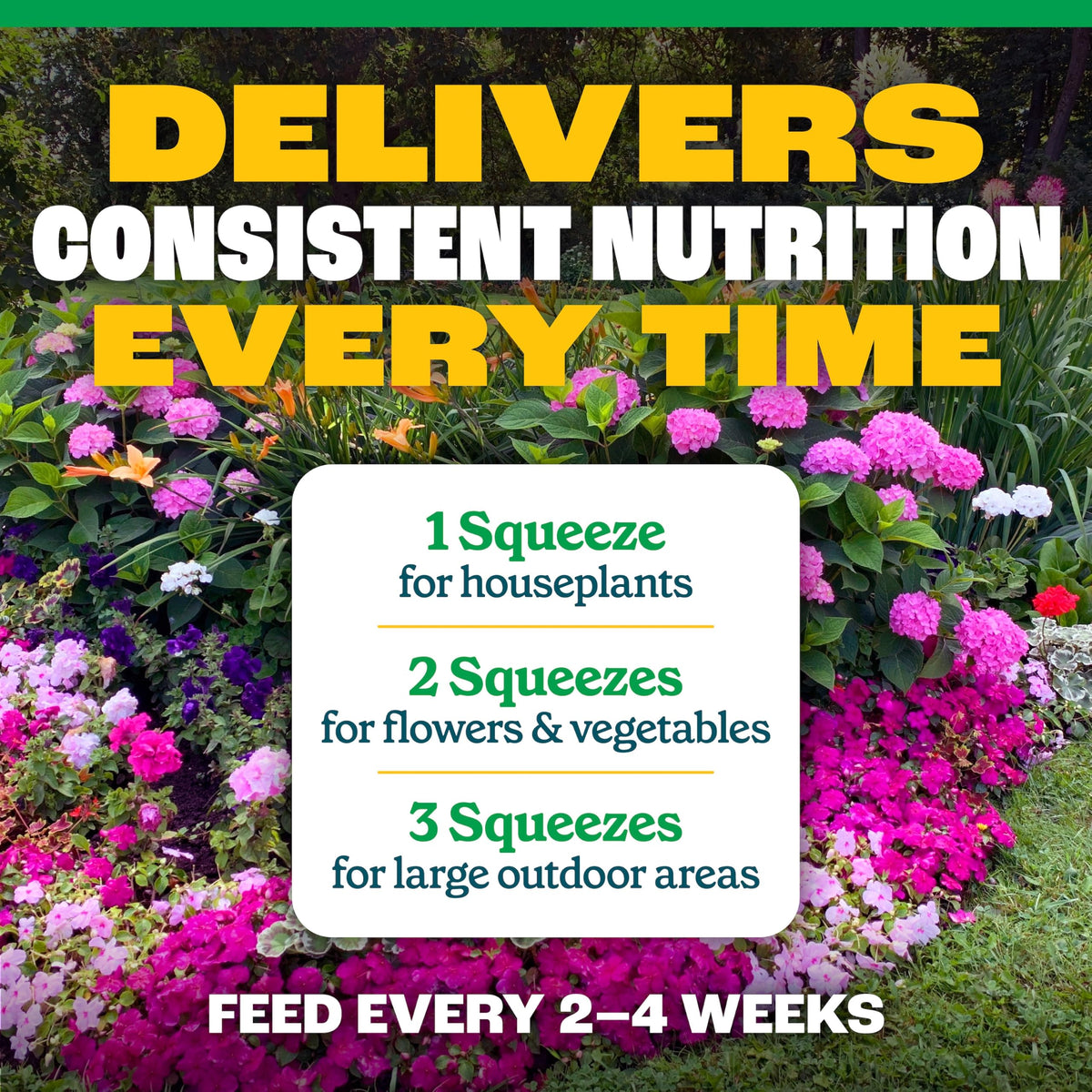 All-Purpose Plant Food 2-3-2, 32 Oz X43892