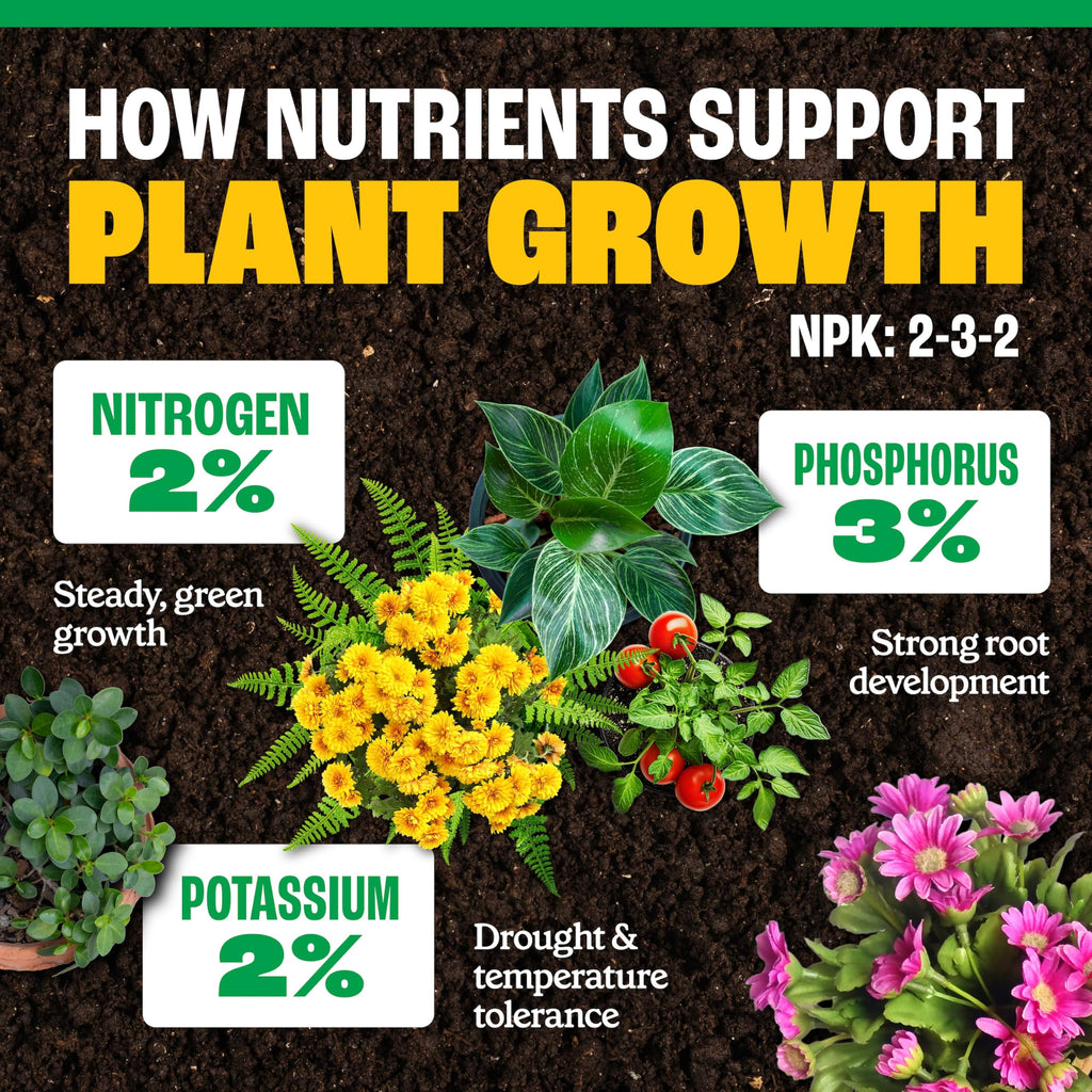 All-Purpose Plant Food 2-3-2, 32 Oz X43892